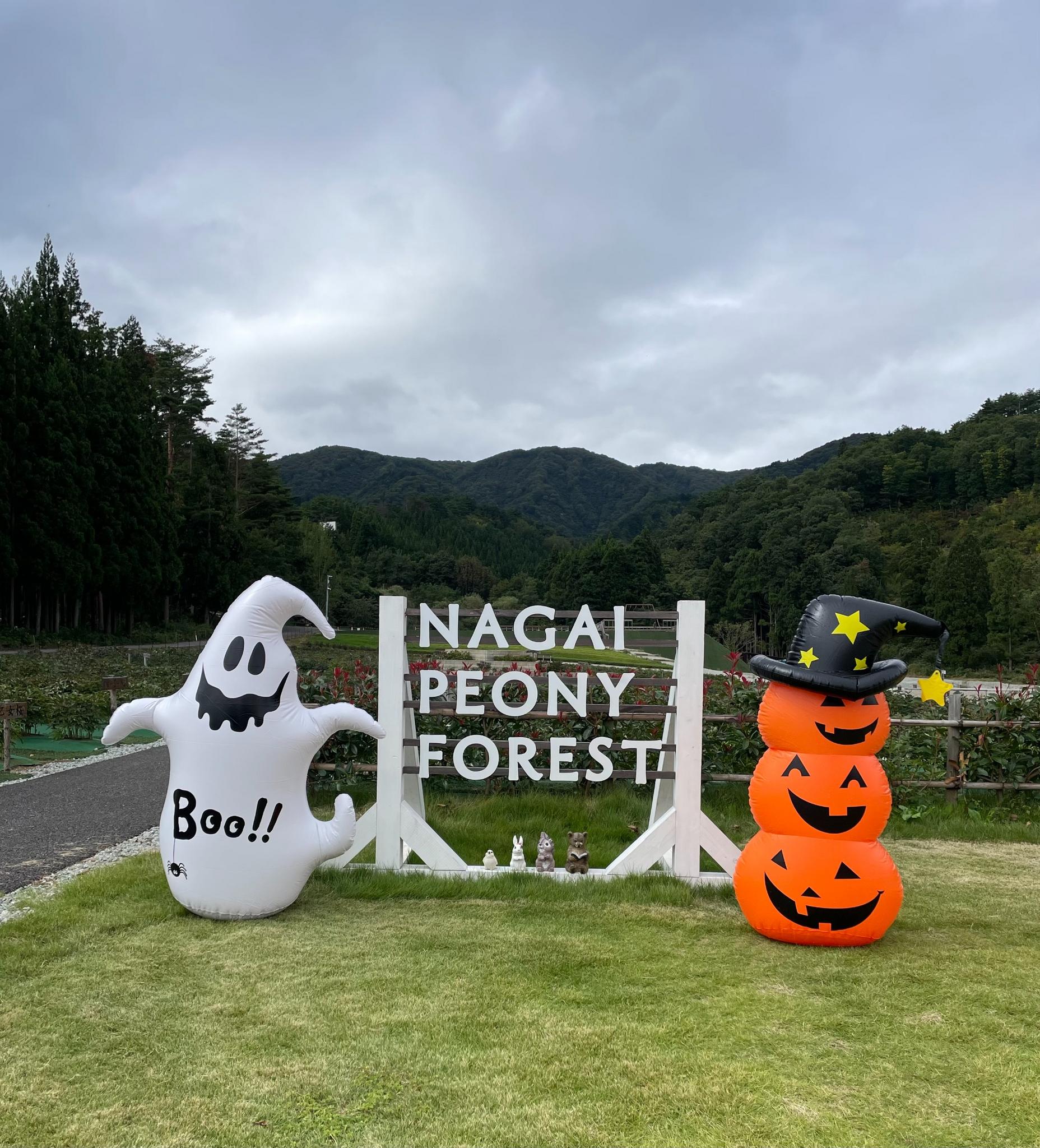 R7・ハロウィン