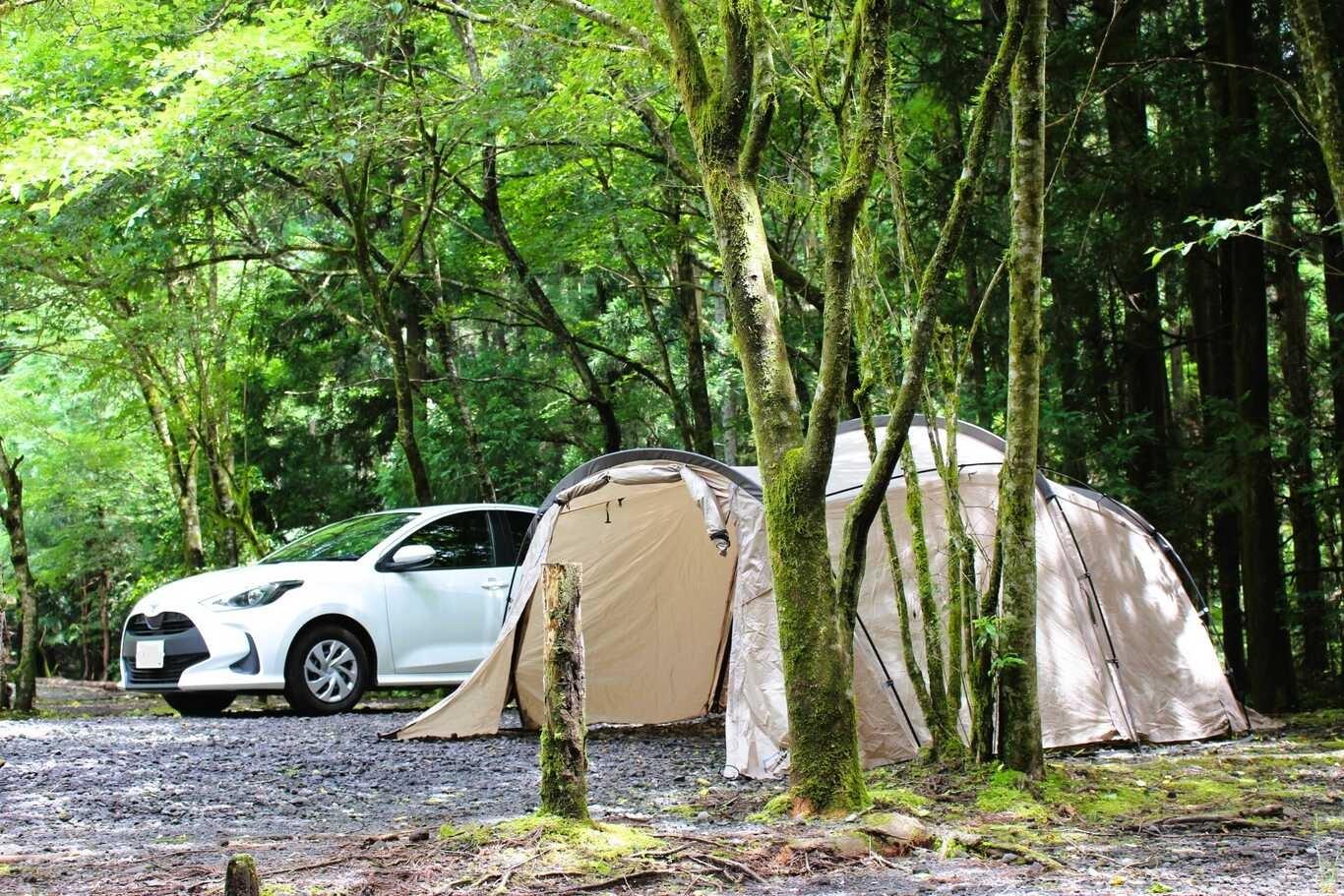 広々オートキャンプサイトの例：BBサイト