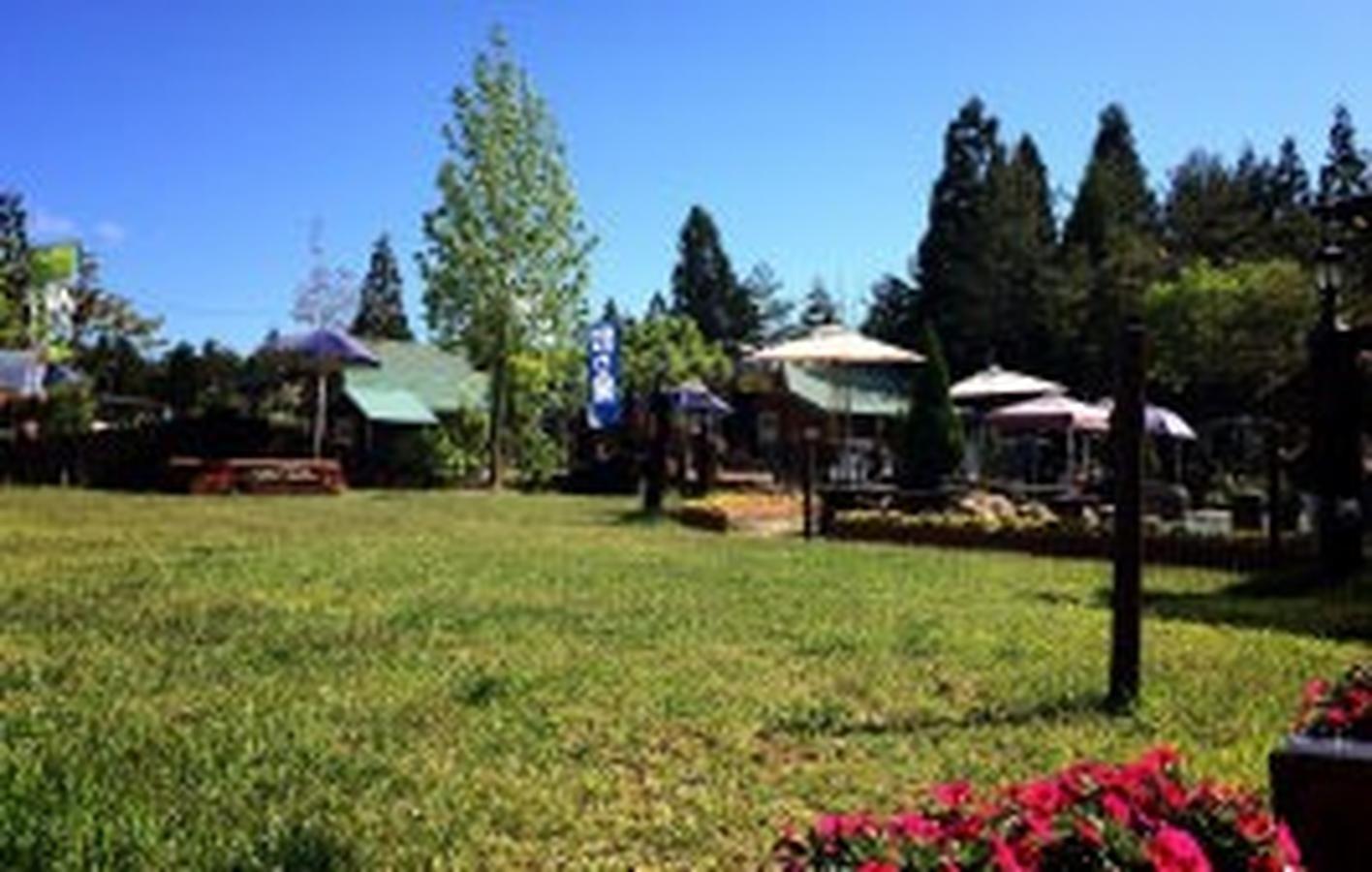 【庭園】センターハウス前には花と芝生が美しい庭園があります。