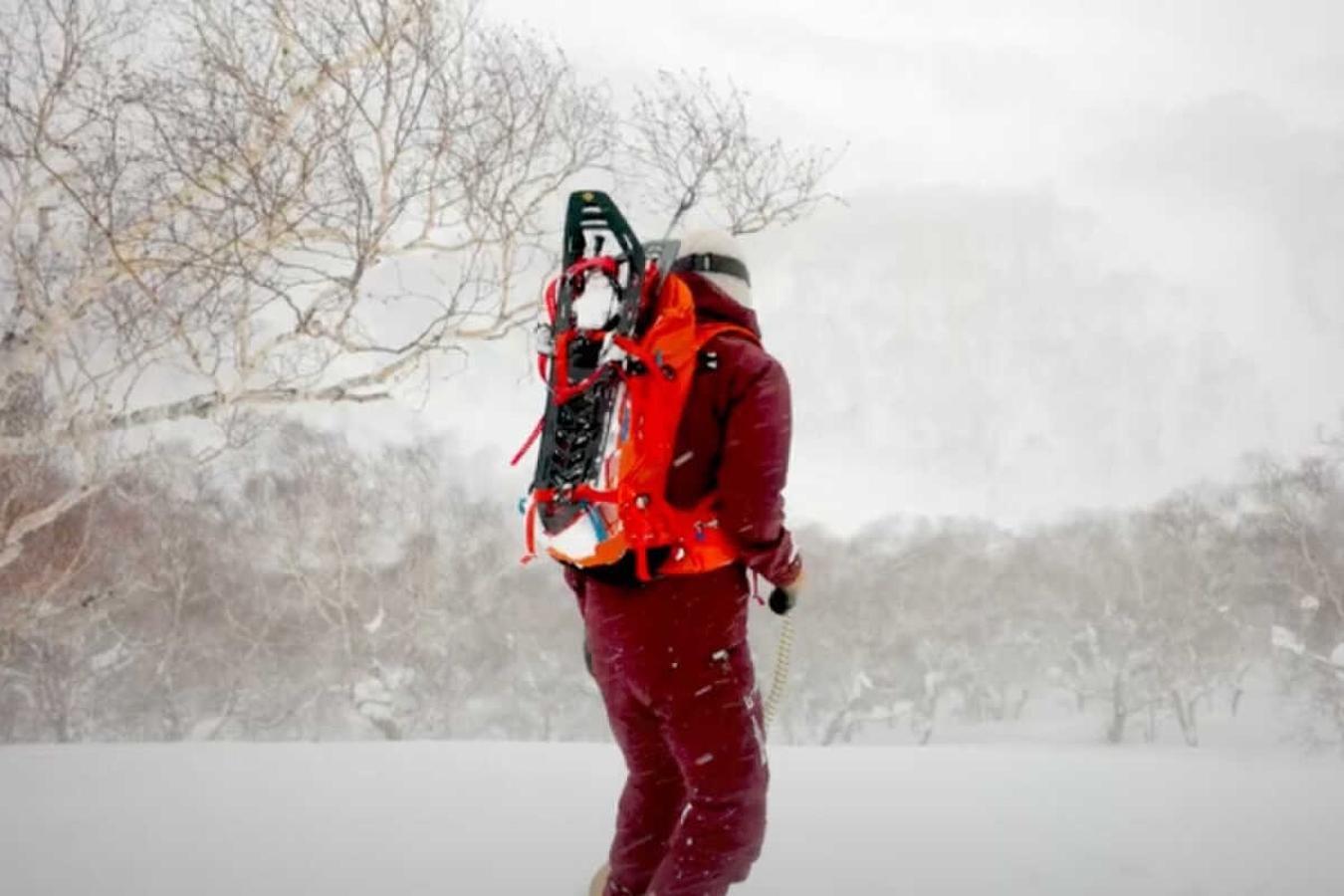 スノーサーフィン（雪板）ガイド Snow Surf