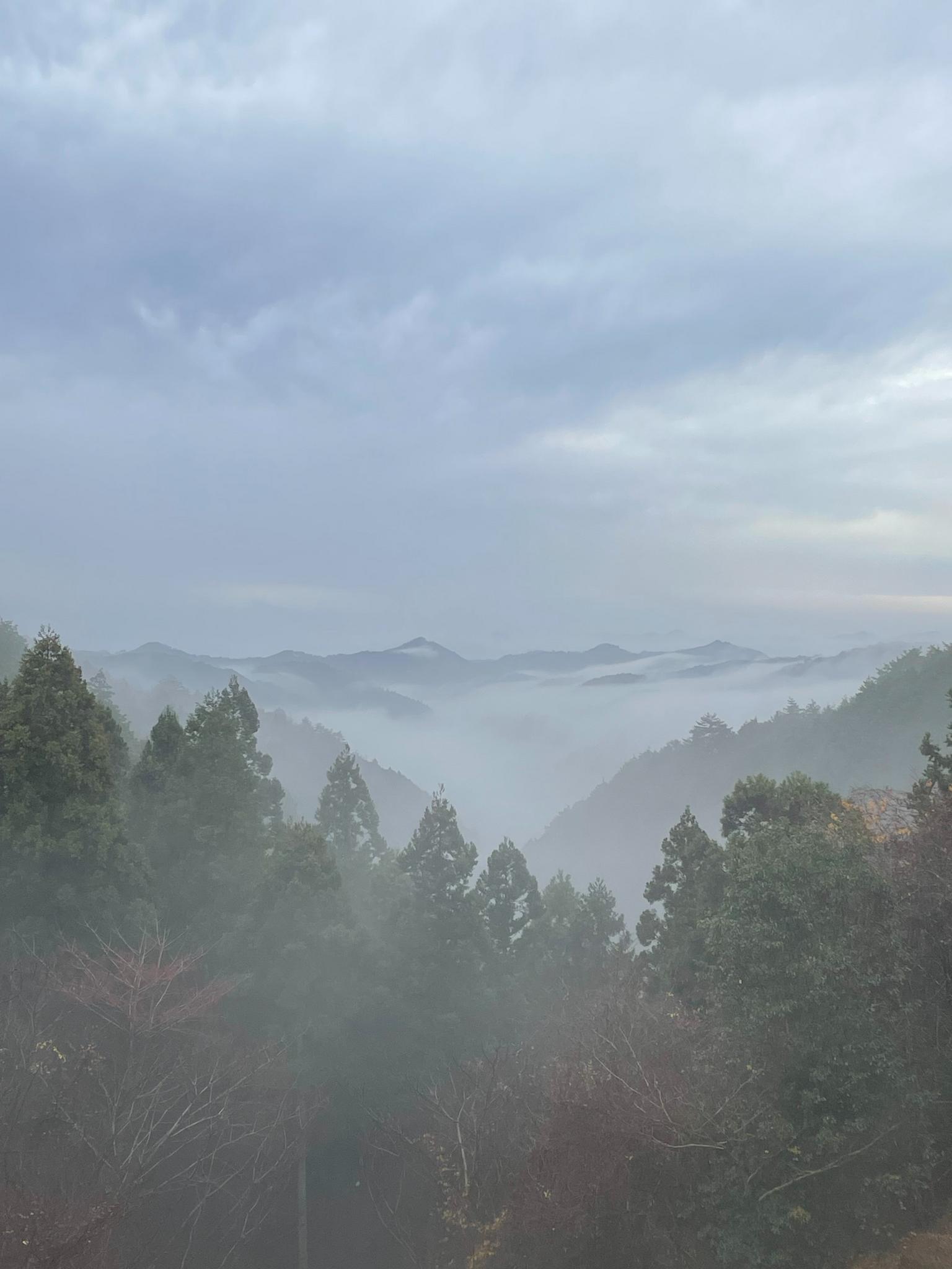 12月朝の風景。