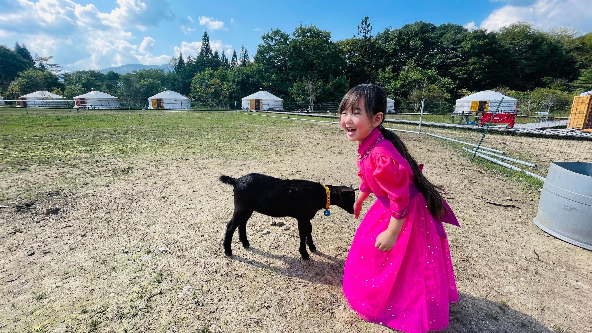 看板仔山羊と看板娘