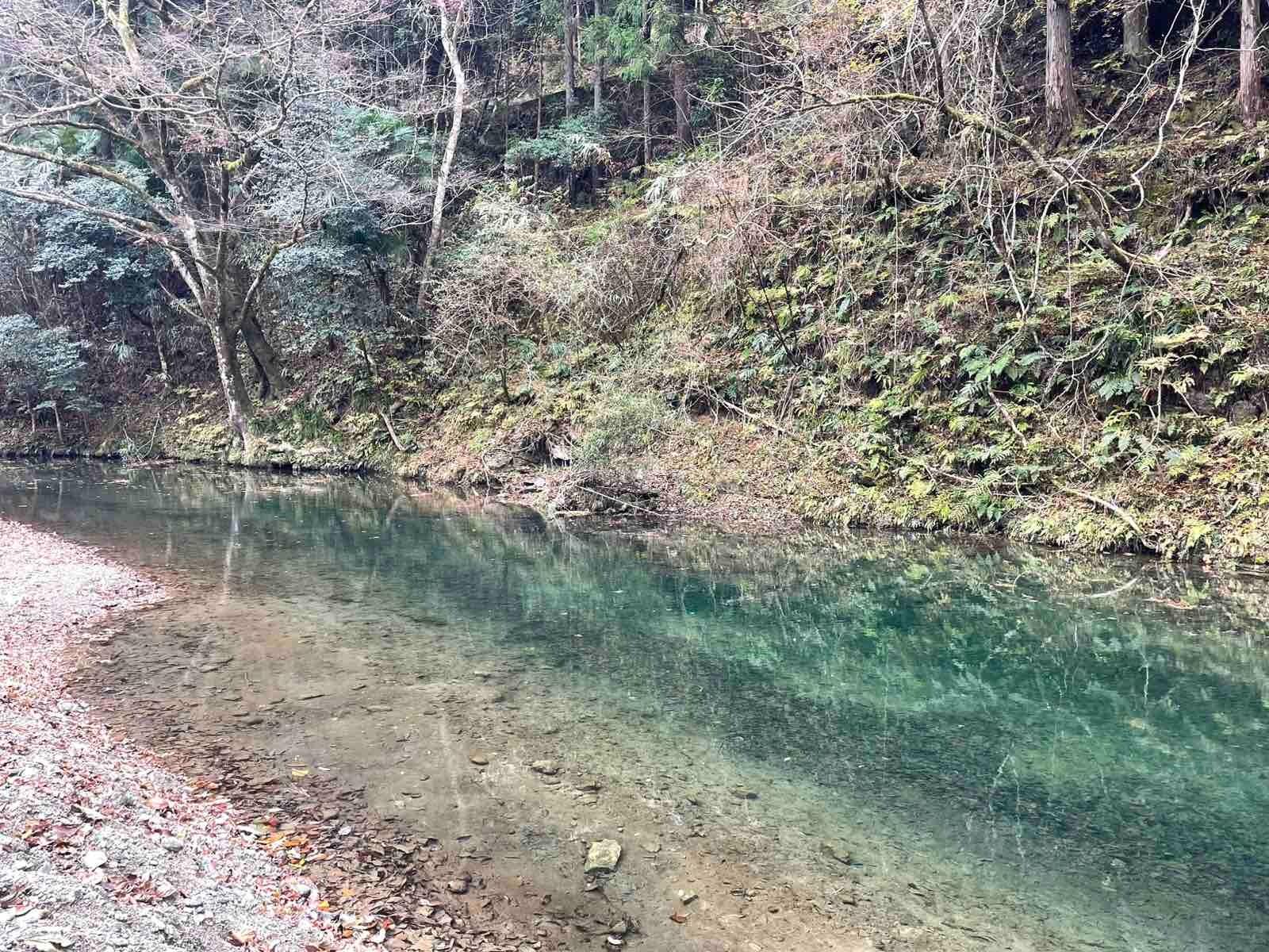 夏は川遊びもできます