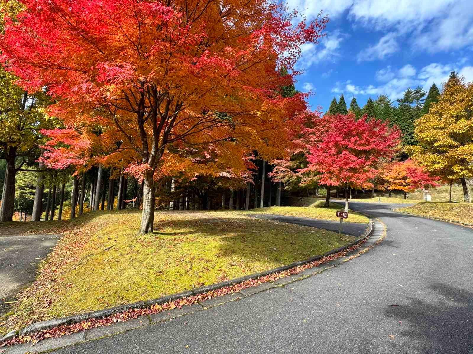 フォレストステーション波賀 東山オートキャンプ場
