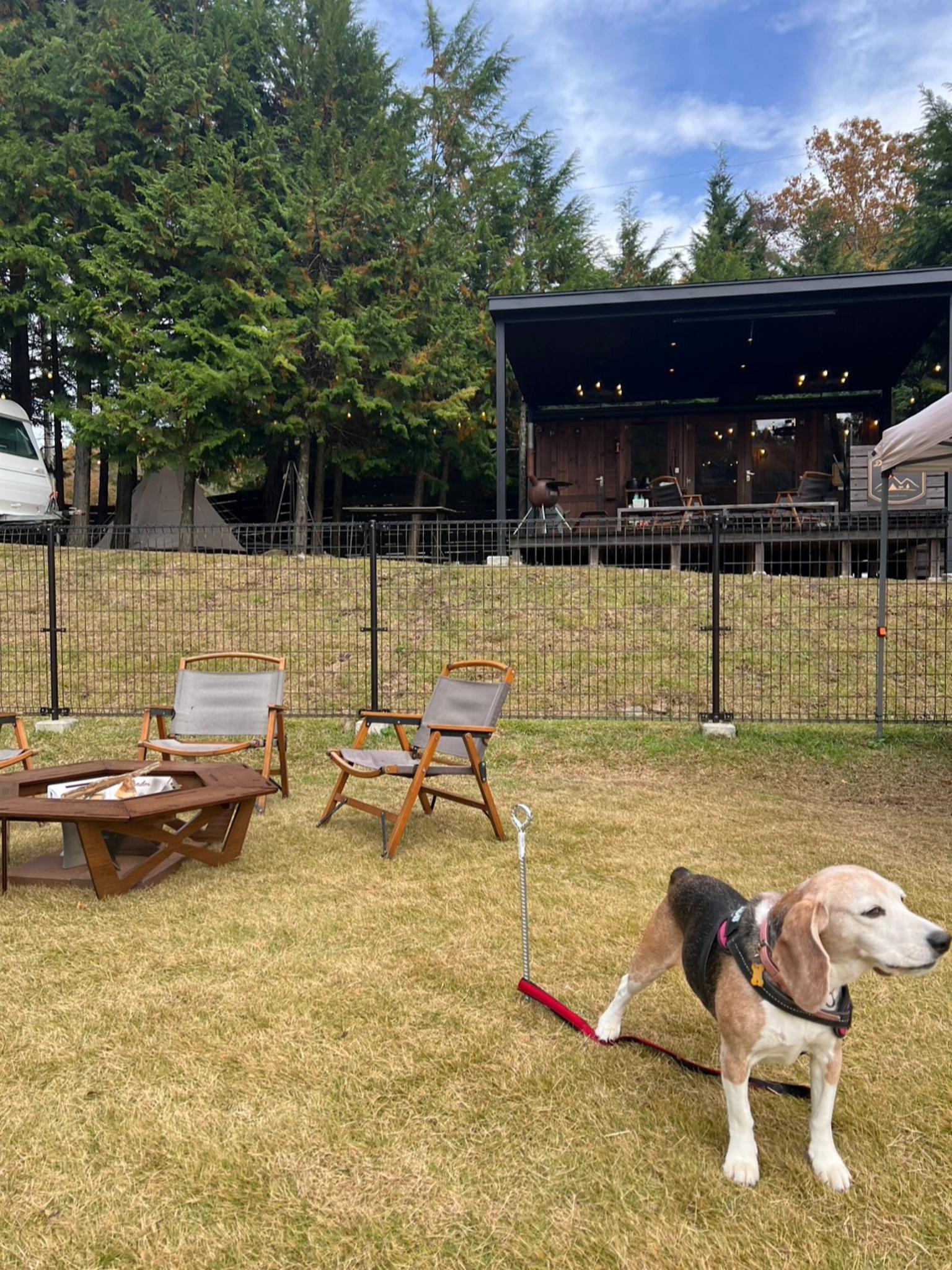 オプション詳細に記載の注意事項についてご了承くださいませ。