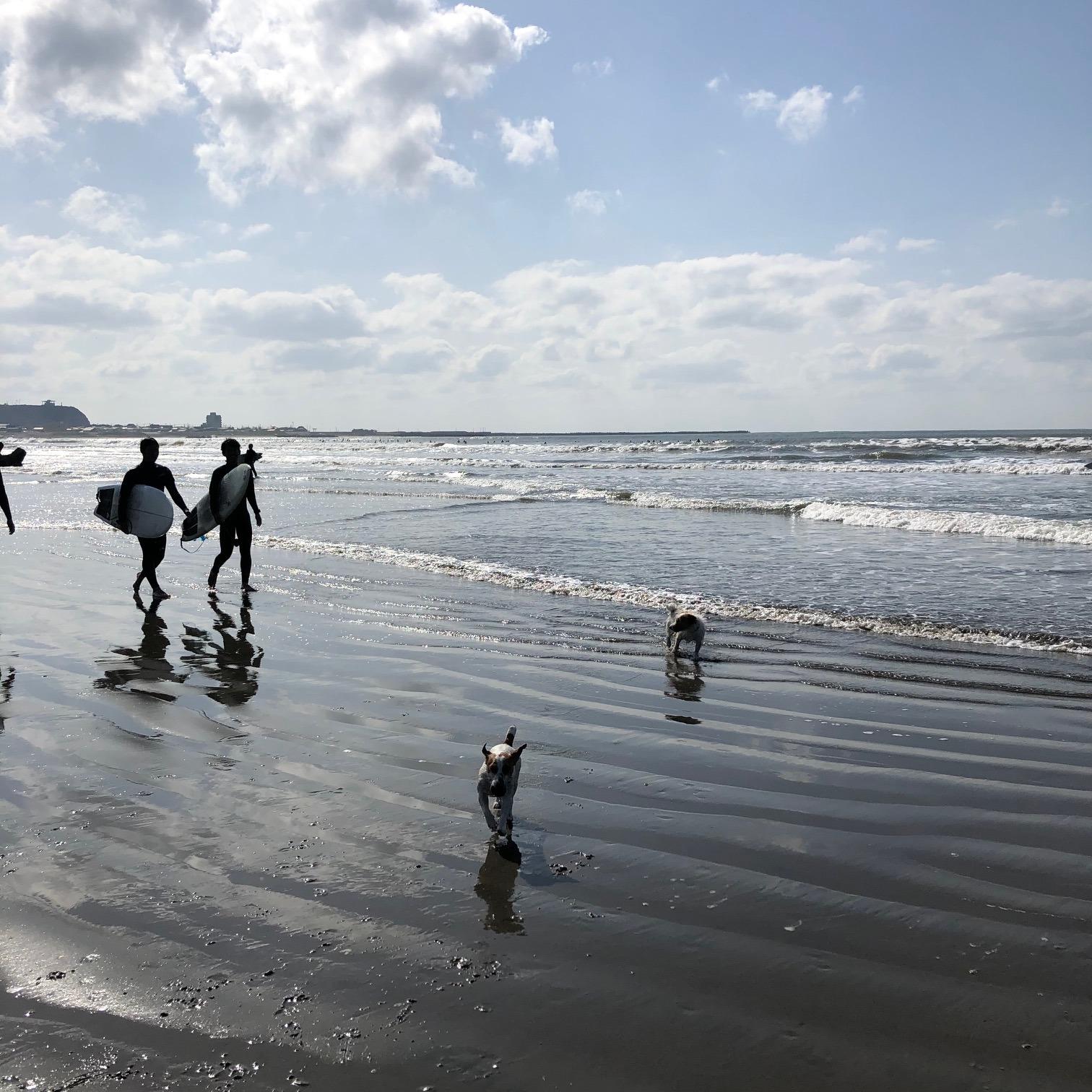 キャンプワイワイ前のビーチ