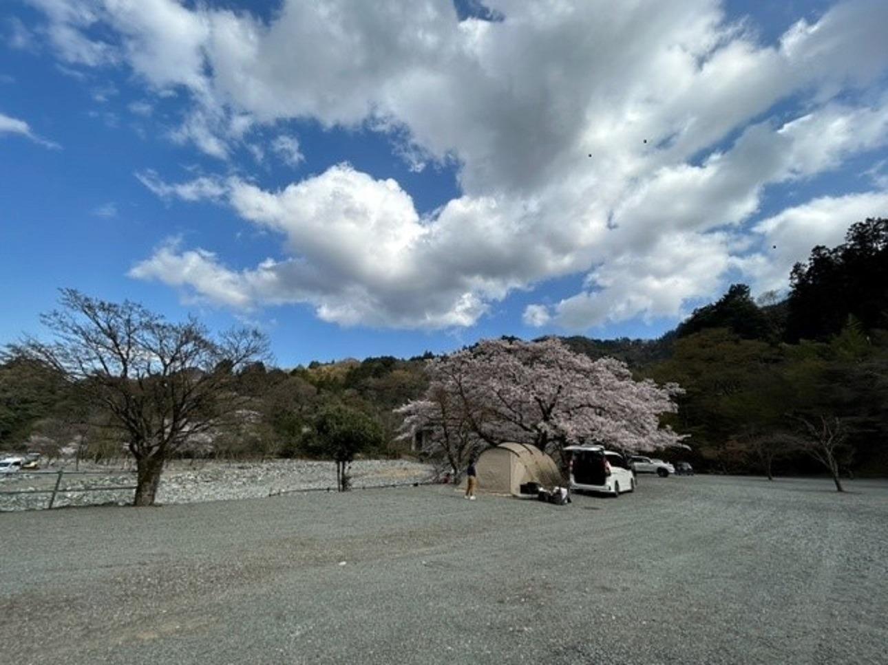 道志渓谷キャンプ場
