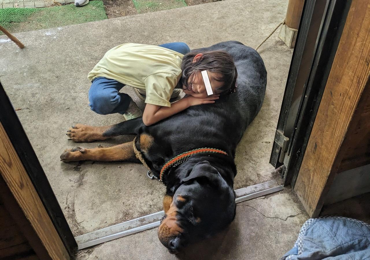 キャンプ場の看板犬②