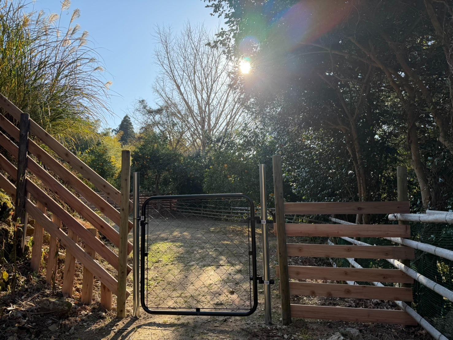 ドッグランサイト