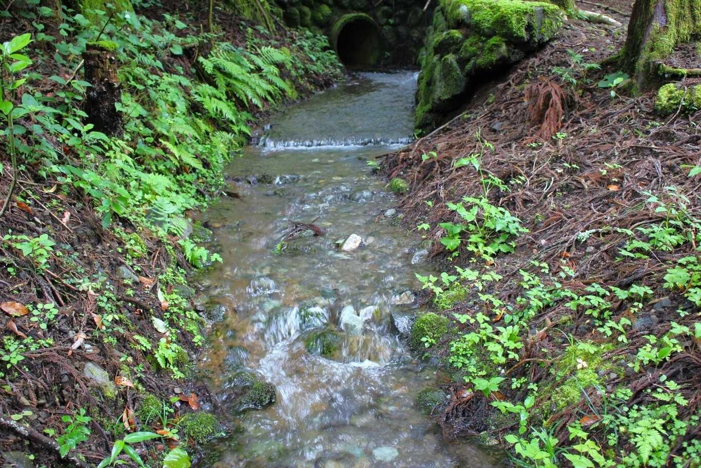  キャンプ場入口 場内を流れる小川です。いろいろなサイトの脇を流れています。