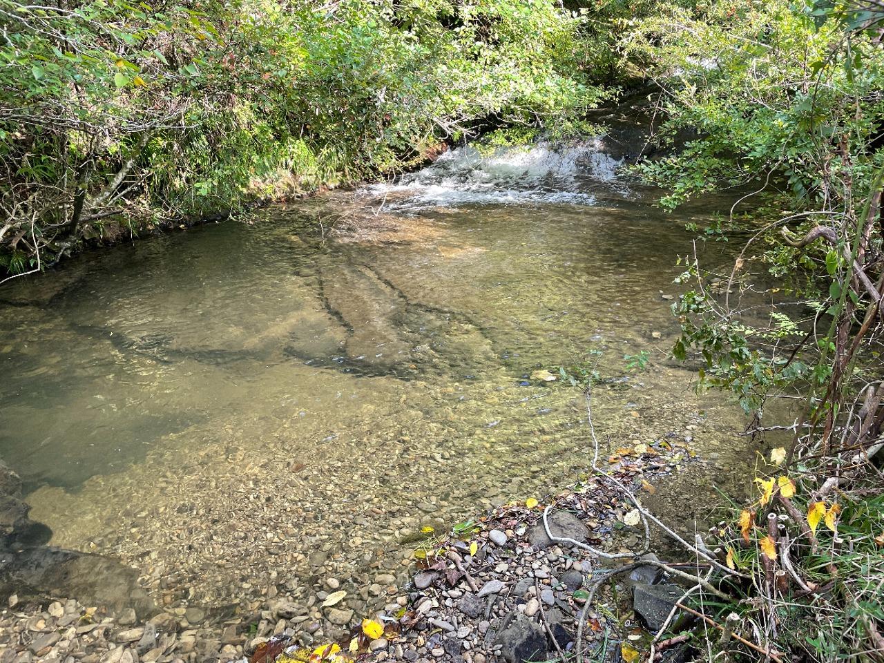 直ぐ側に川も6月にはホタルも飛びます。