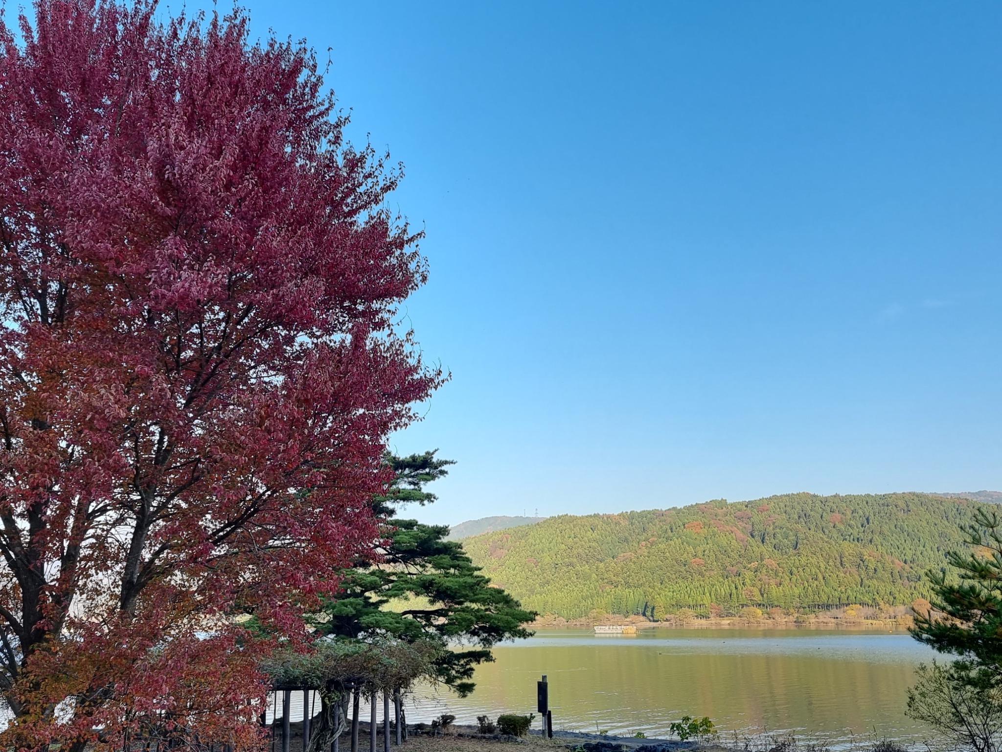 余呉湖まで徒歩2分