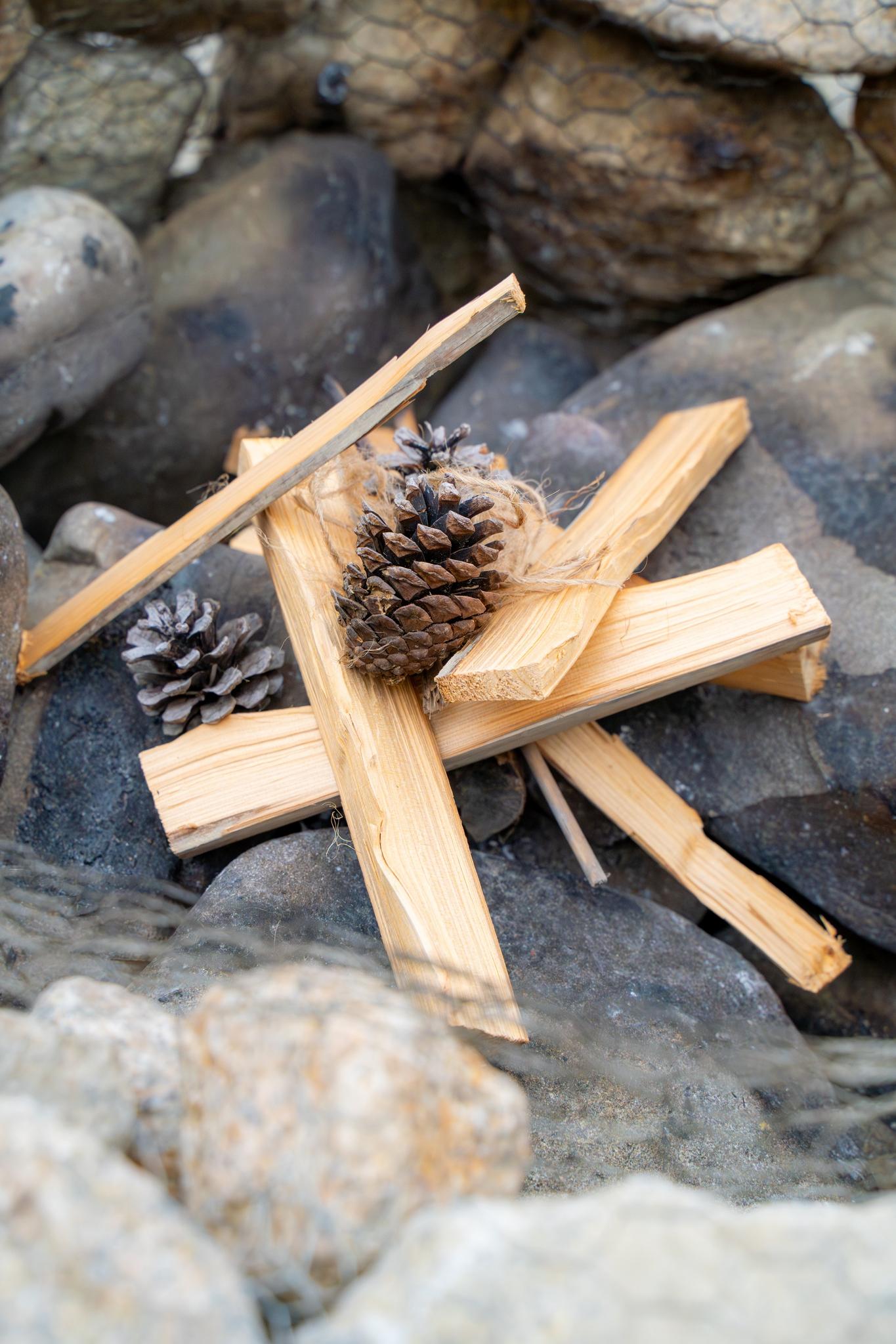 火おこし体験も！松ぼっくりは天然の着火剤！