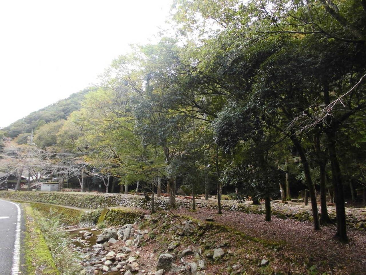 川の向こう側がキャンプ場です