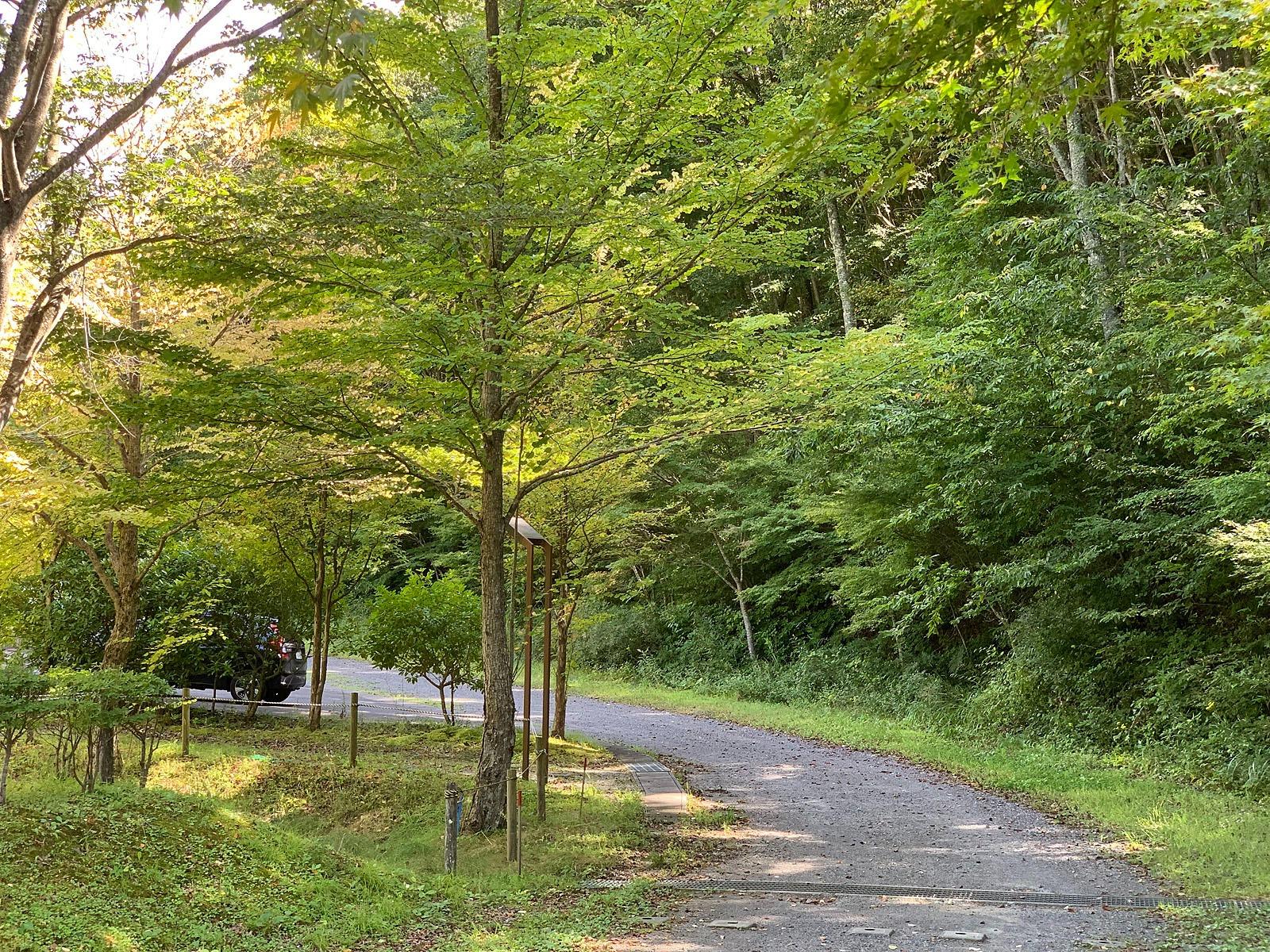 キャンプ場内