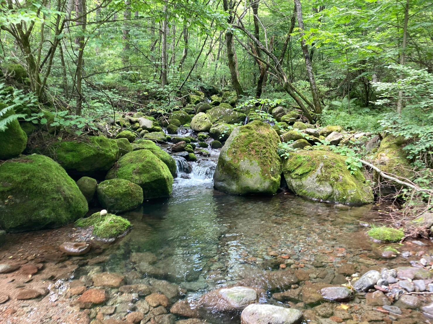 敷地内で川遊びできます