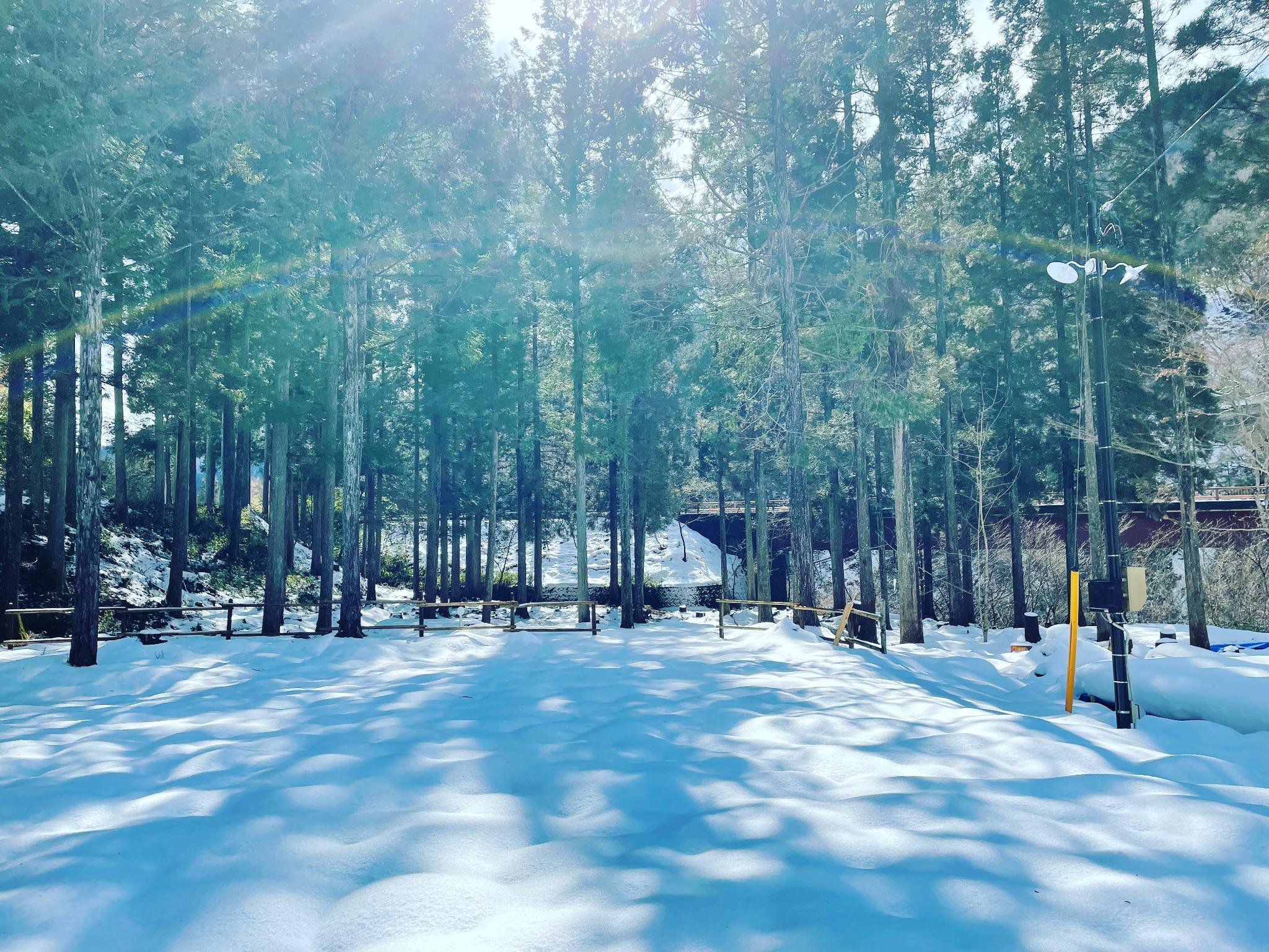 12月末～３月は積雪があります