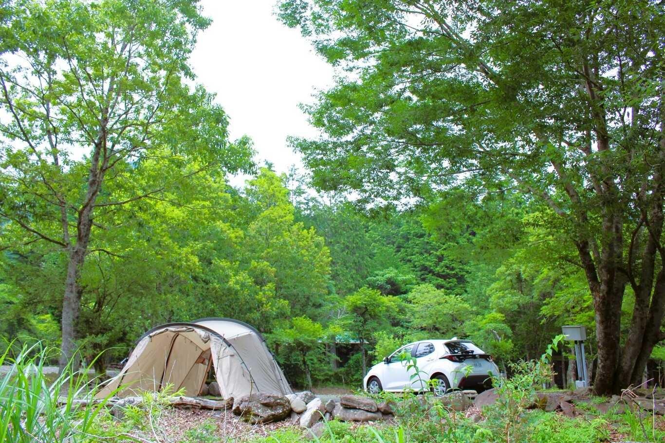 広々AC付きオートキャンプサイトの例：81サイト