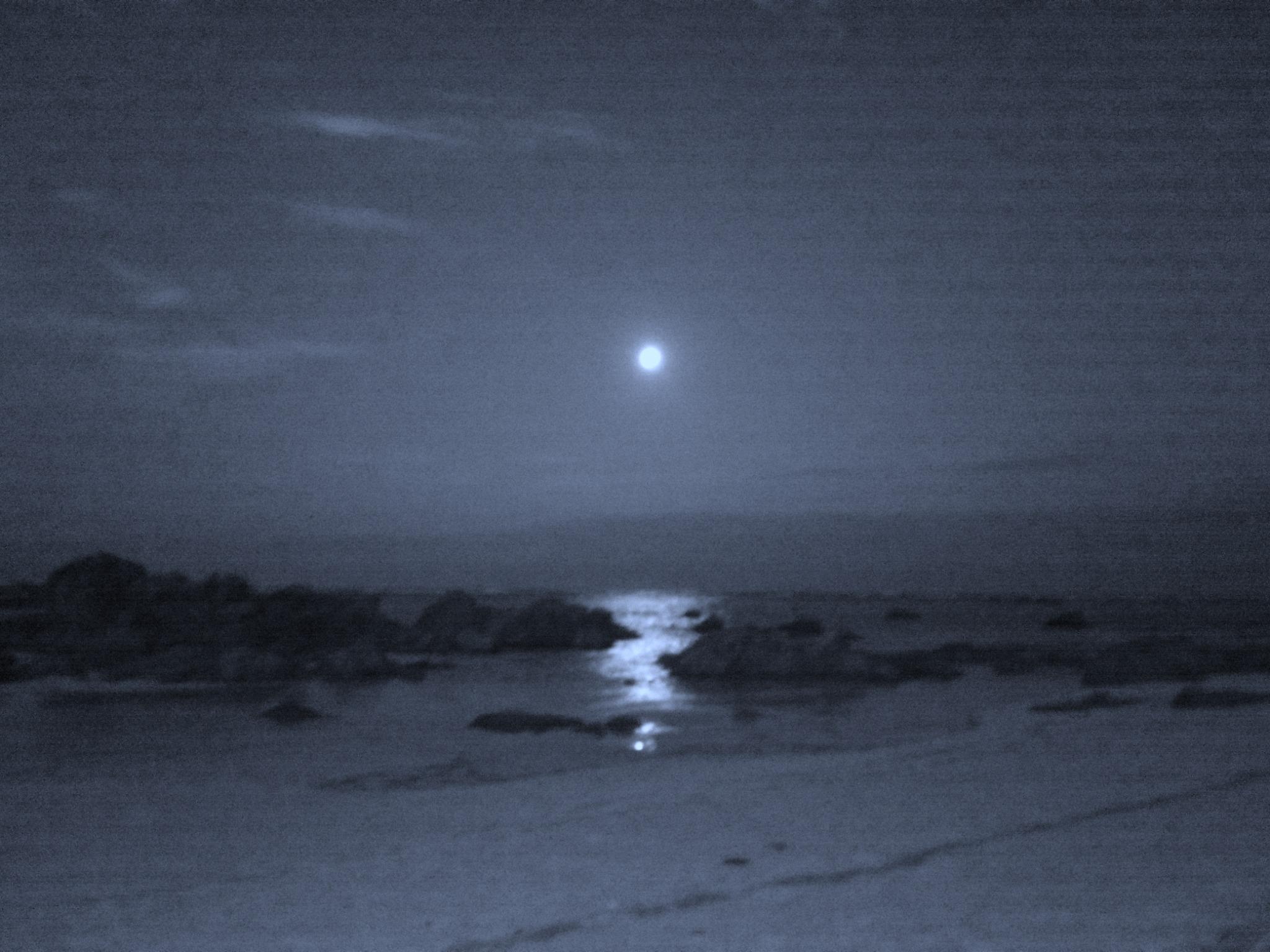 海岸からみる夜の月