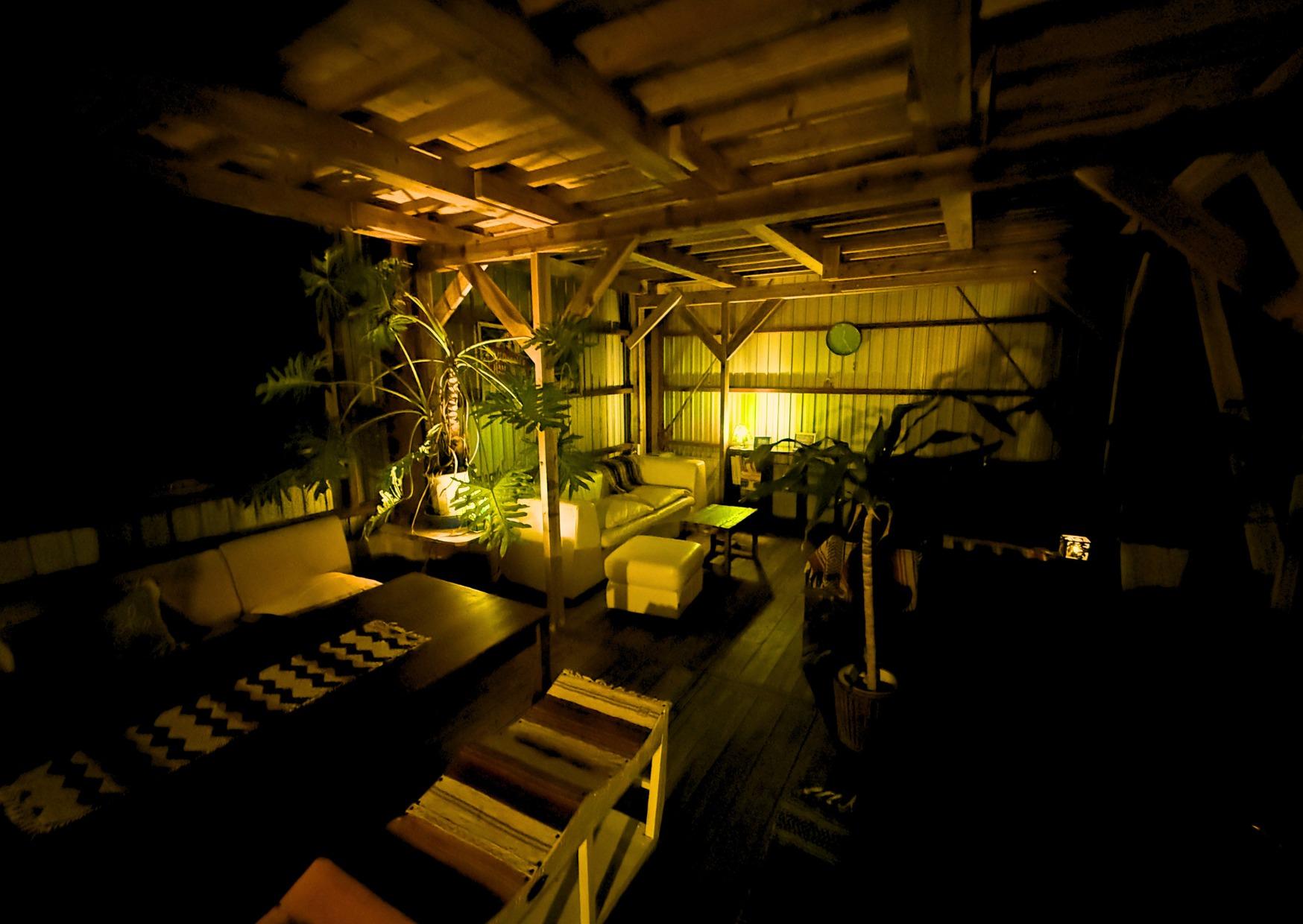 NorthArea JUNGLEHIDE