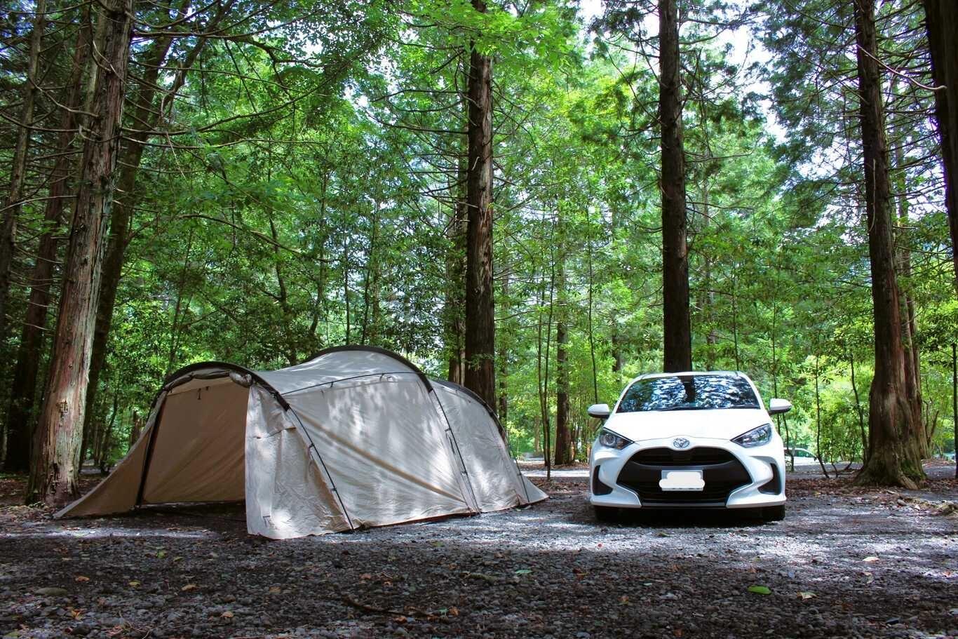 少しゆったり森林オートキャンプサイトの例：52サイト