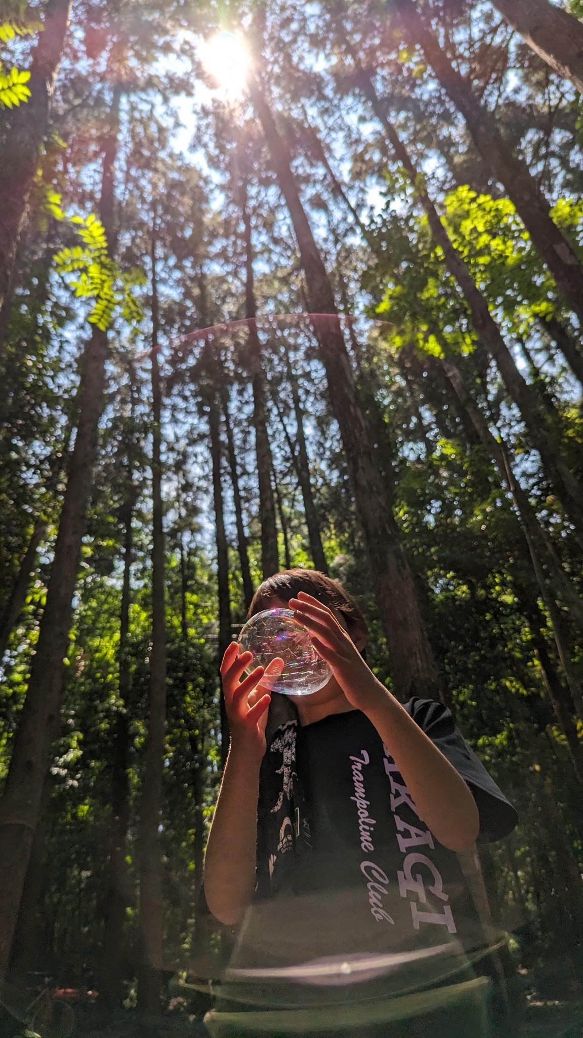 日陰は濃く真夏でも涼しいです
