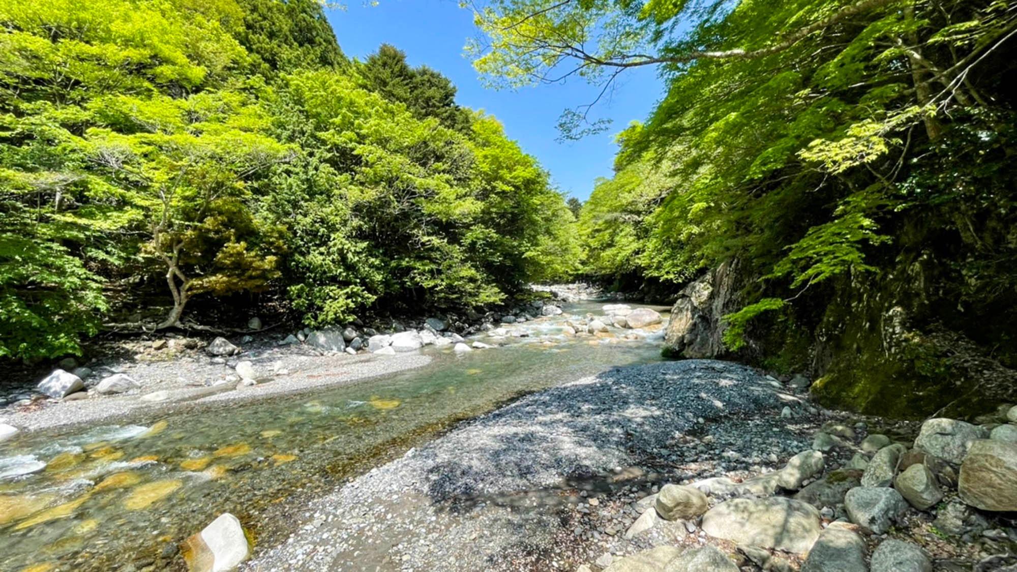 ・【周辺・神崎川】施設の横に流れる美しい神崎川は見ているだけで癒されます