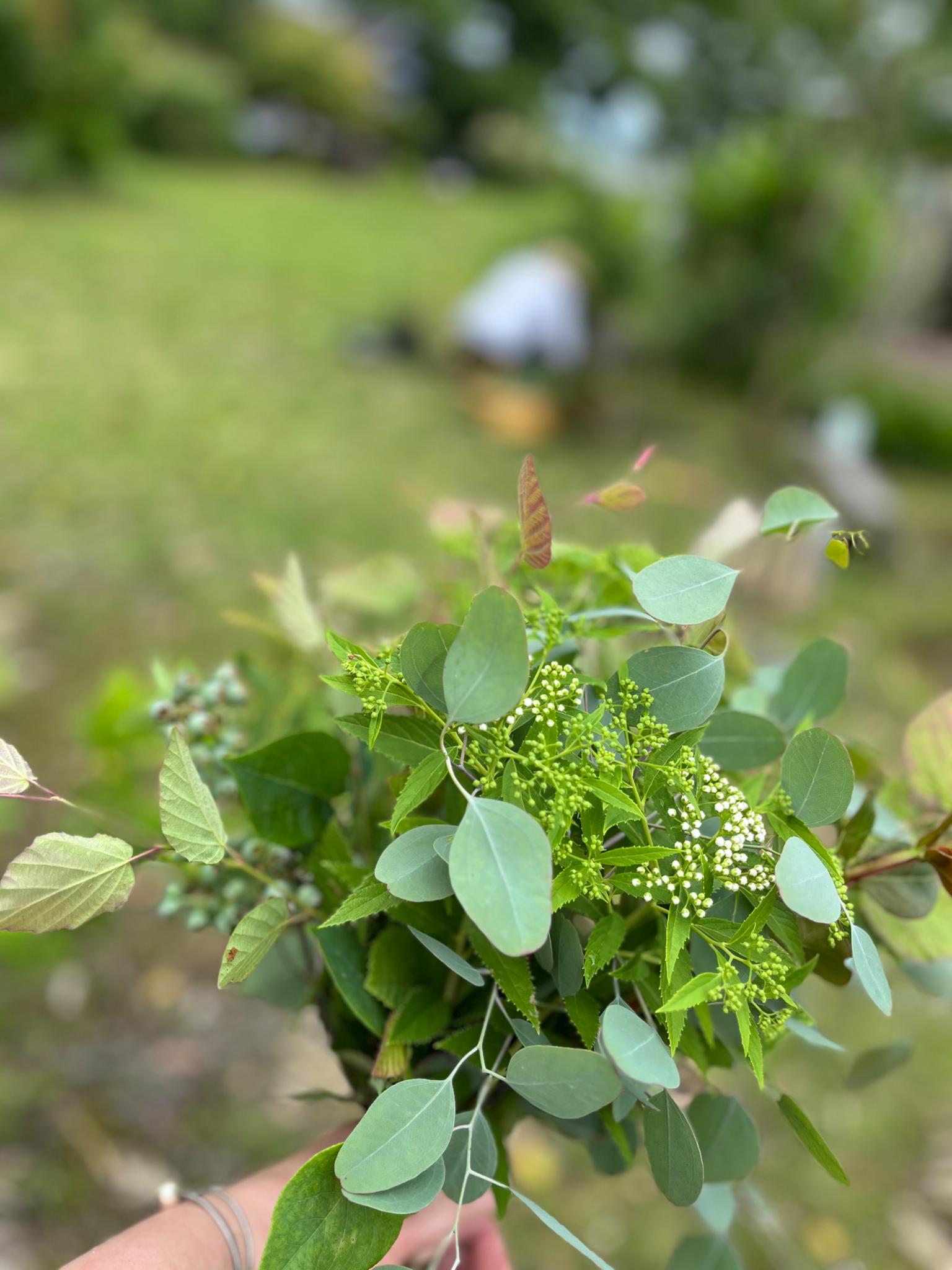 四季折々の花が楽しめます