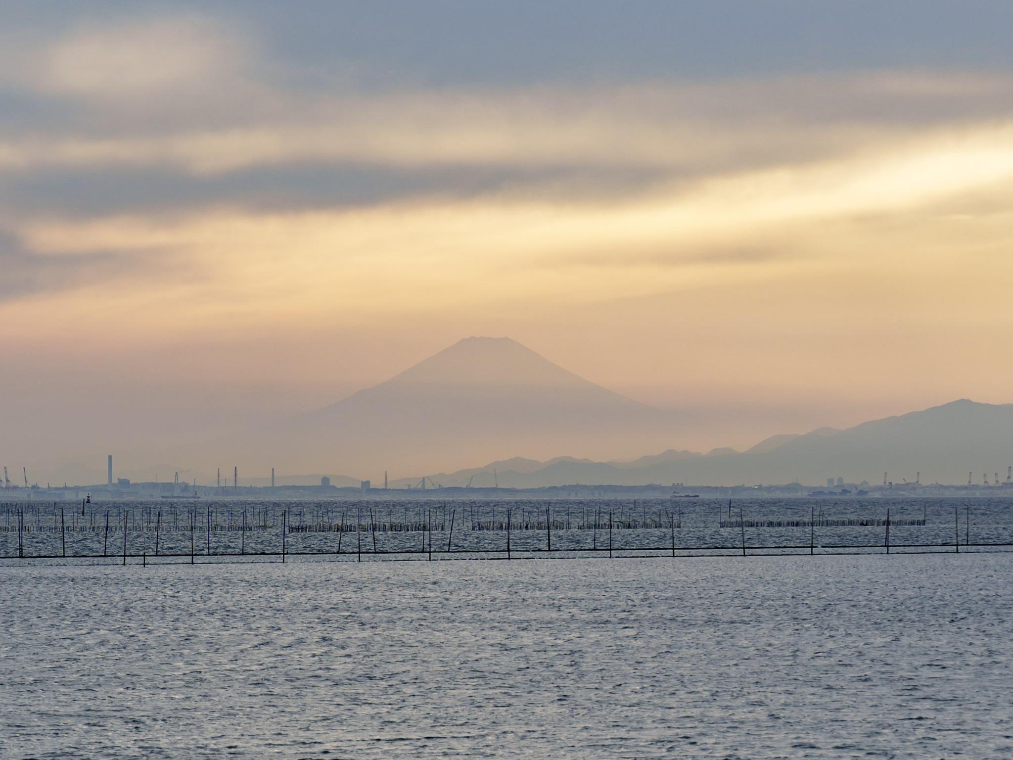 夕暮れの東京湾。晴れた日には富士山のシルエットが浮かびます