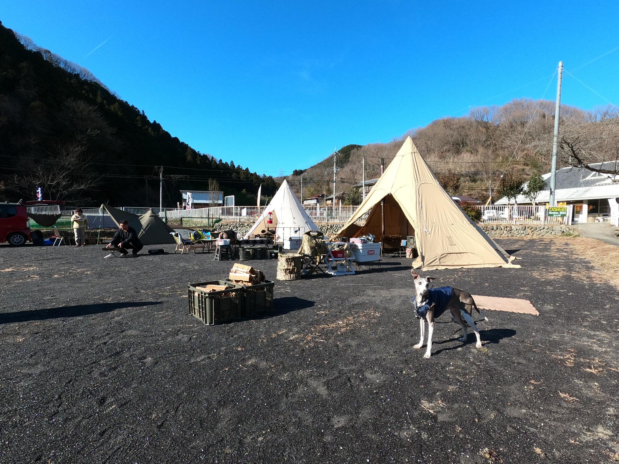 貸切キャンプ場風景　ドックラン付き