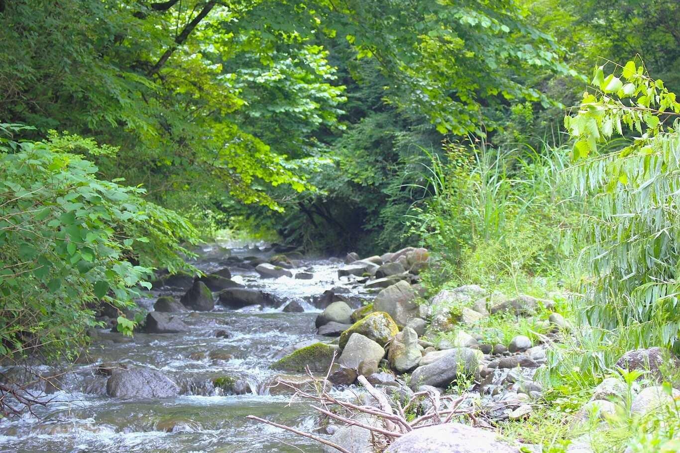  キャンプ場から川へ出られるので、川遊びができます。