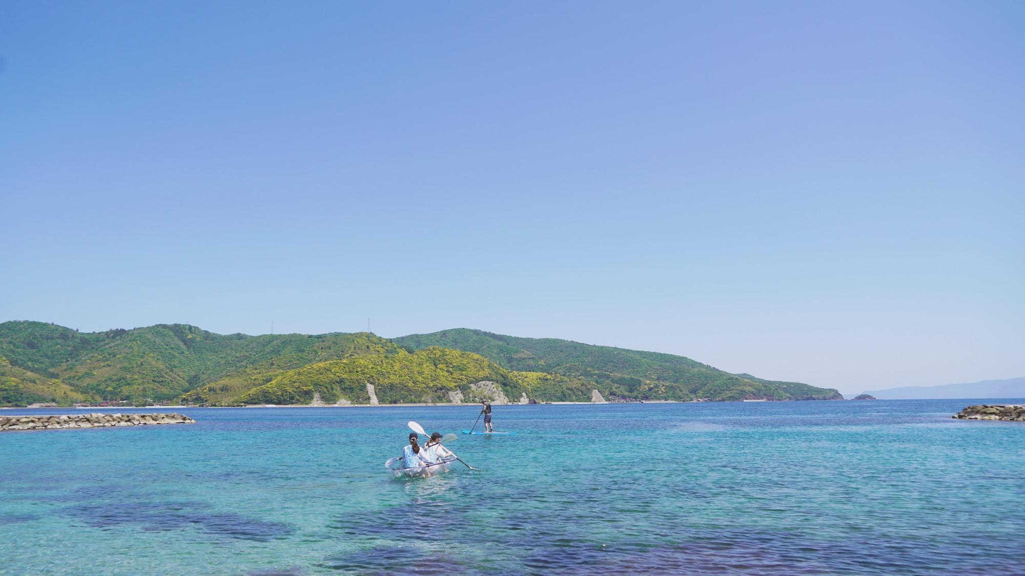 ボードの上から覗く、透き通った海の世界。