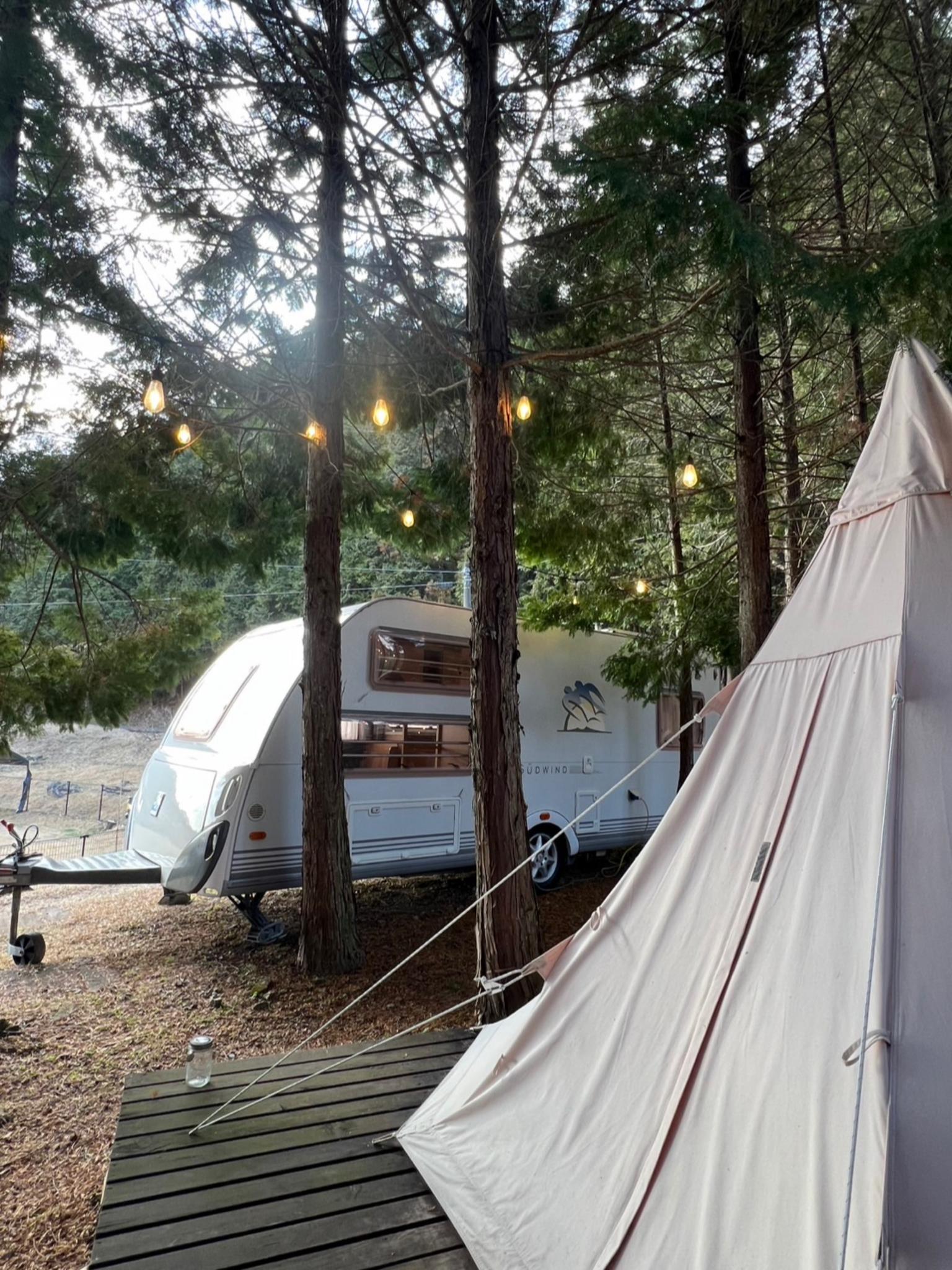 いずれの寝室もワンちゃんとご一緒にご就寝いただけます。