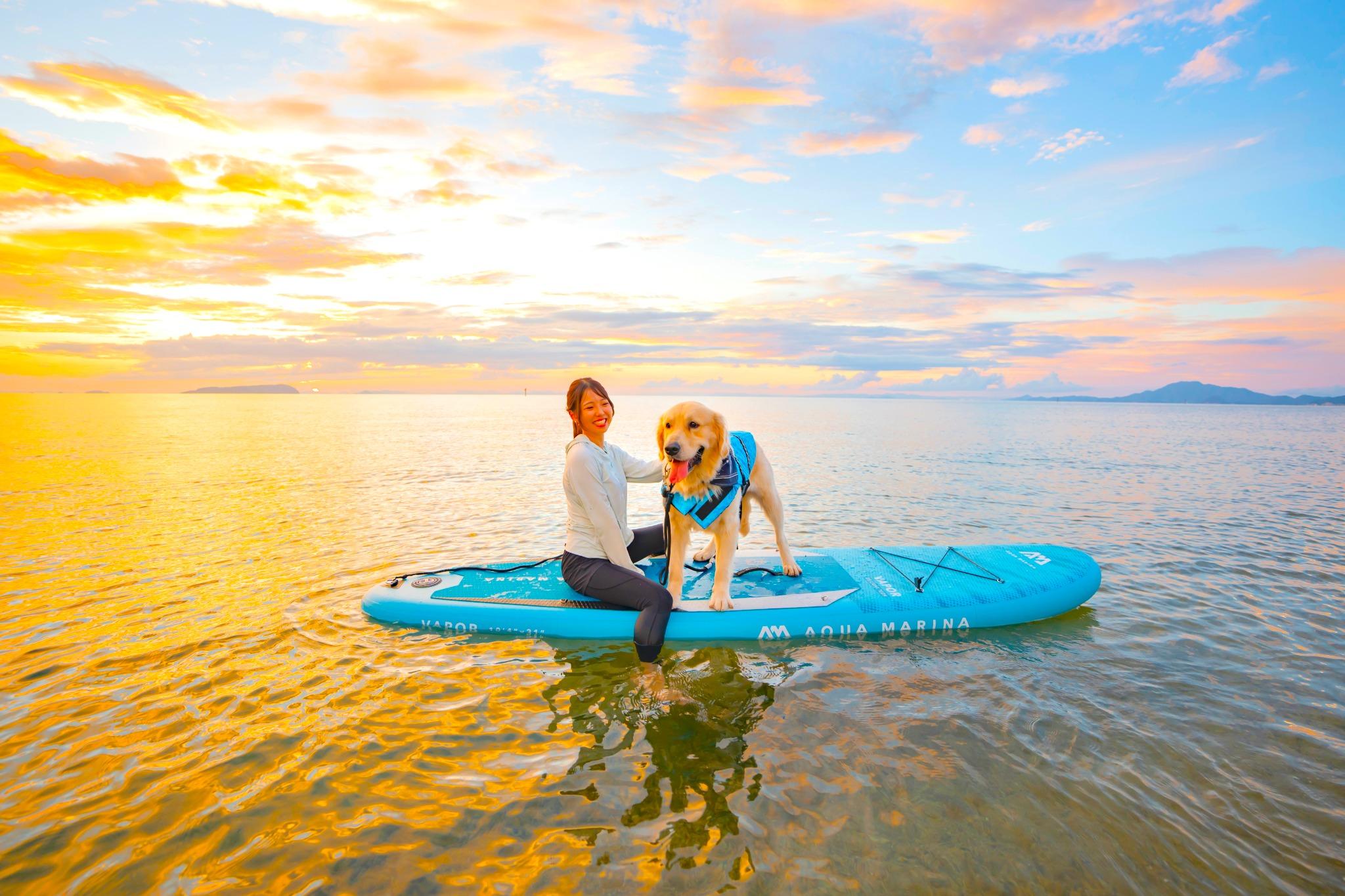 愛犬とのSUP体験も