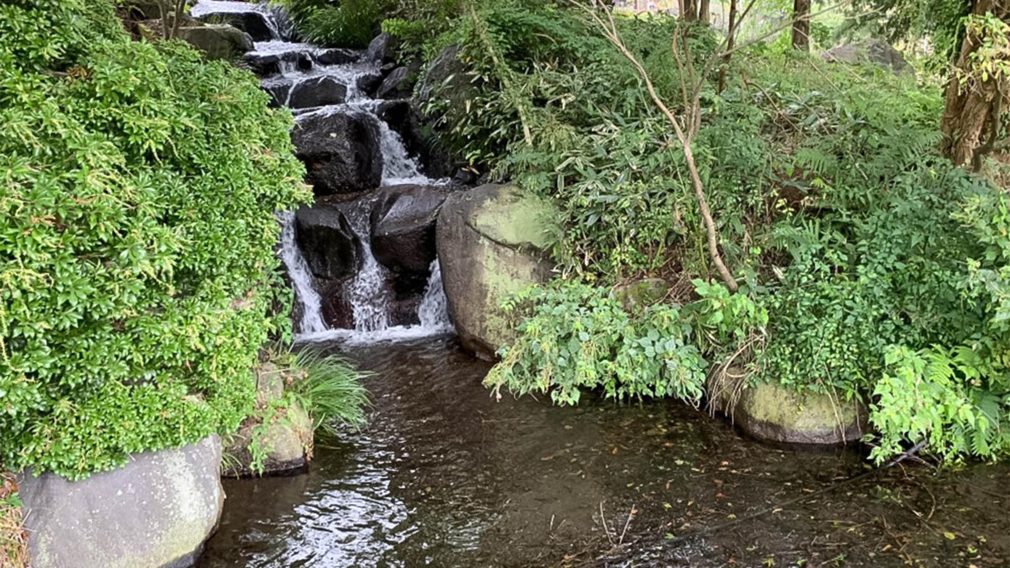 奥霧島 皇子原公園 キャンプ場