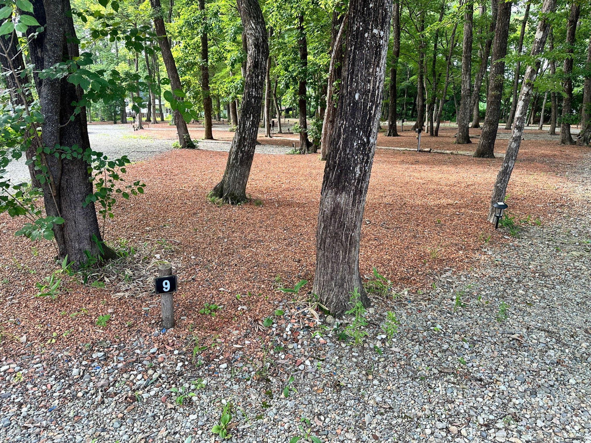 【９番サイト】オートキャンプサイト（AC電源あり）