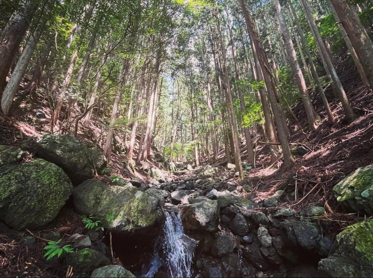 冒険したくなる沢（対岸）