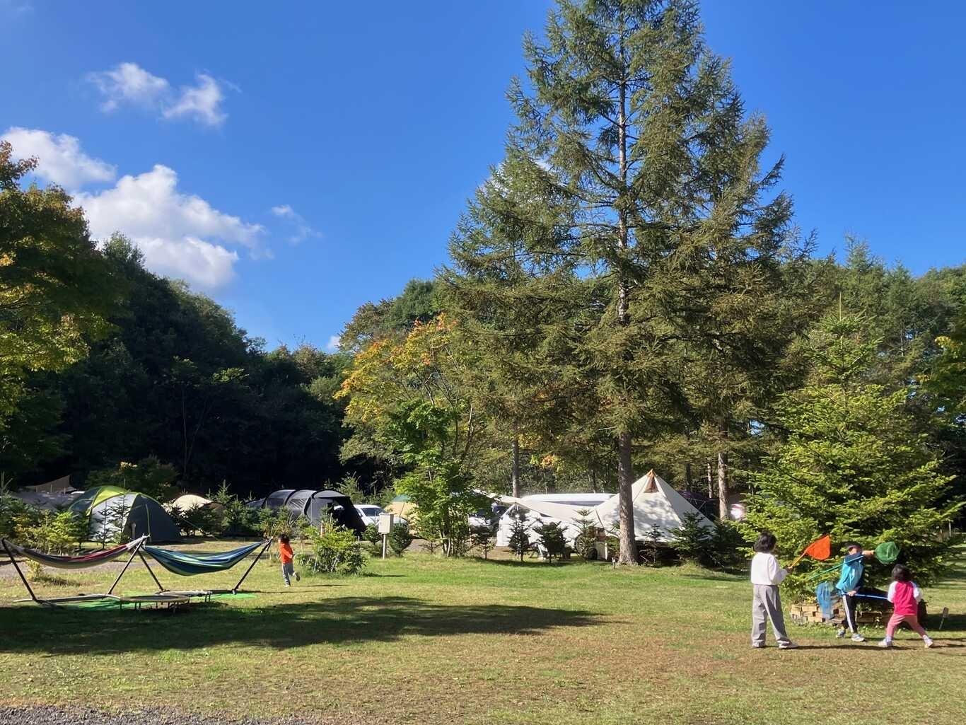 北軽井沢 どんぐり山の一番星 キャンプ場