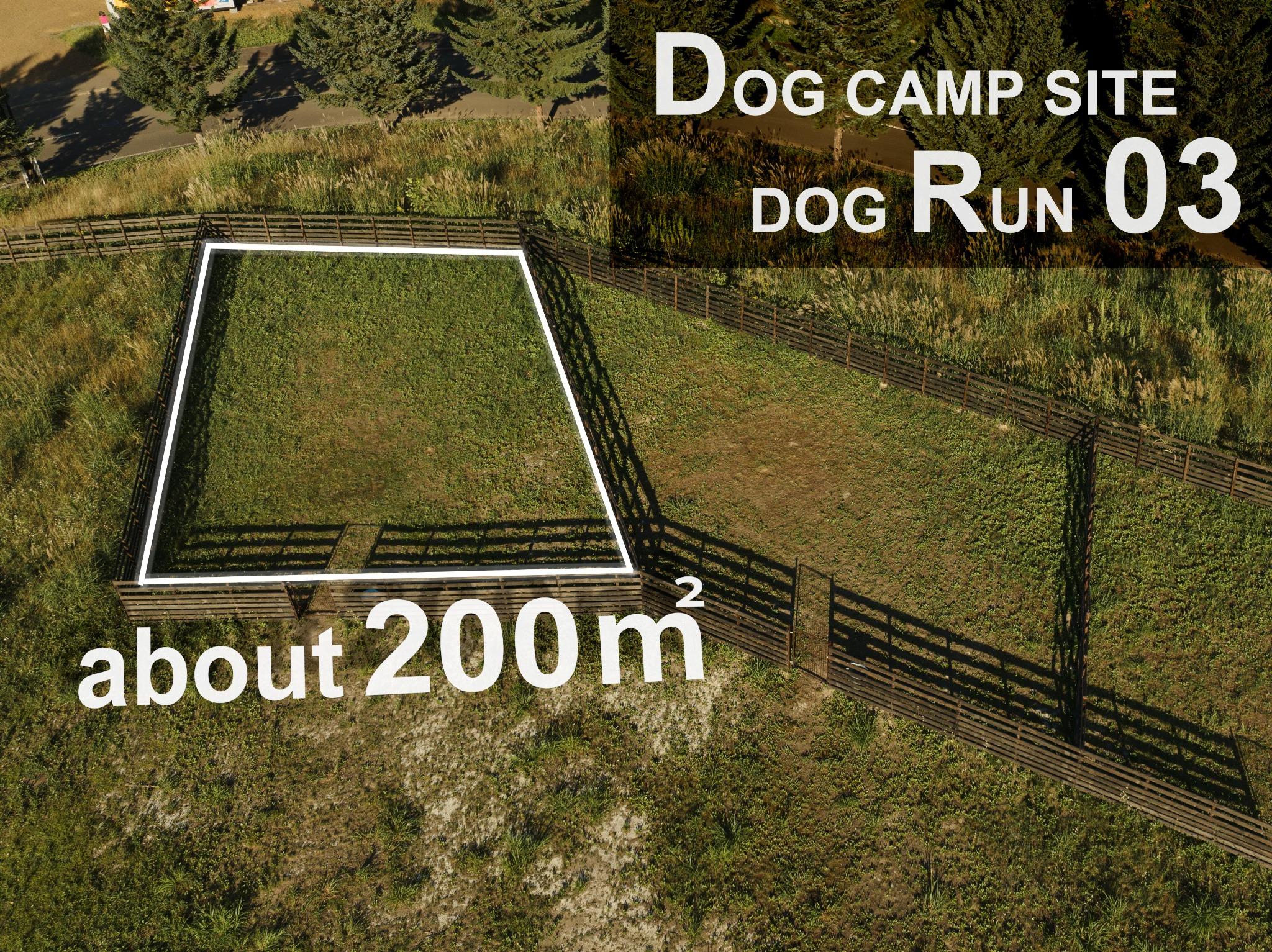 DOG CAMP SITE03