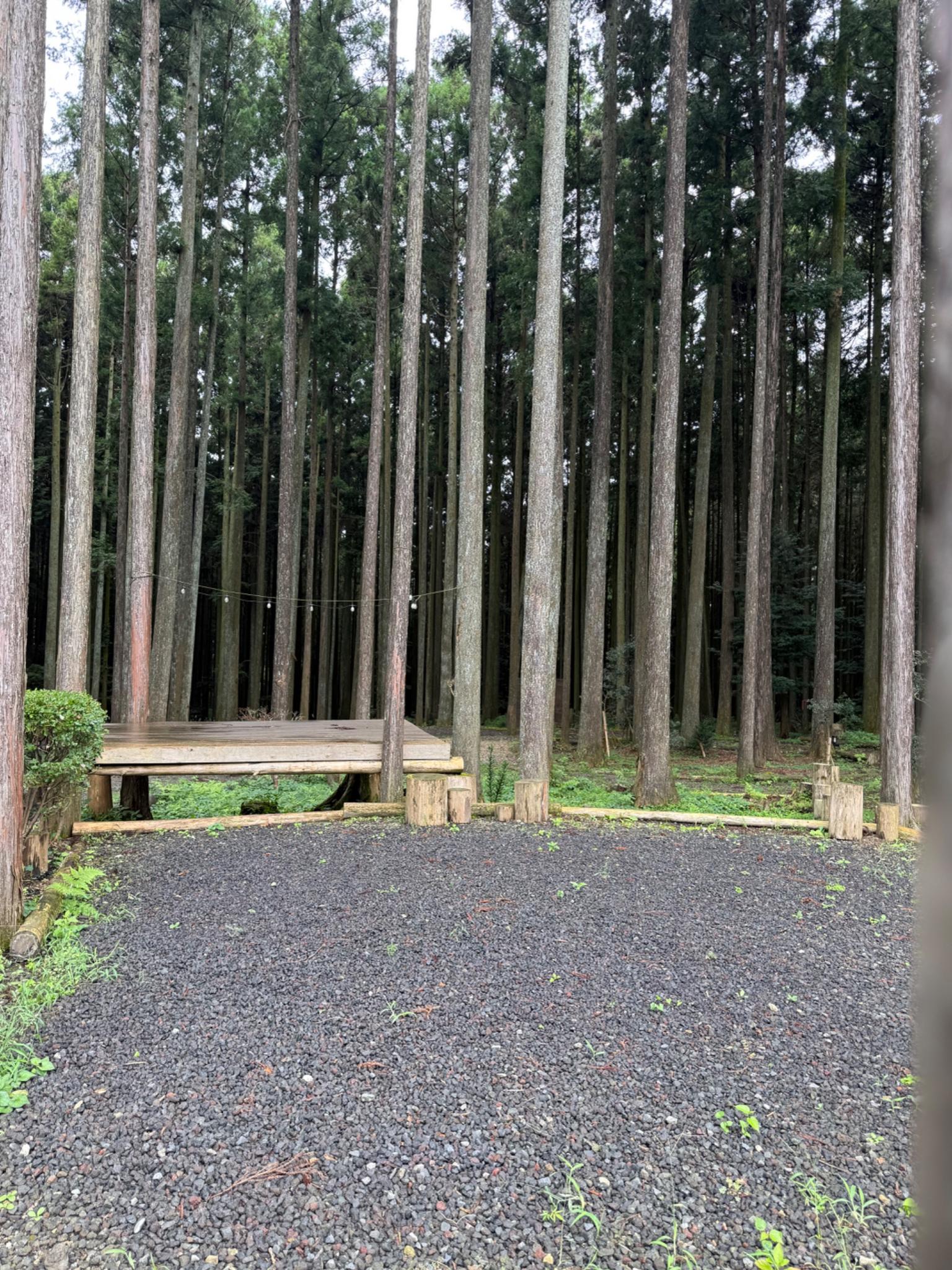 夏も涼しく過ごせます