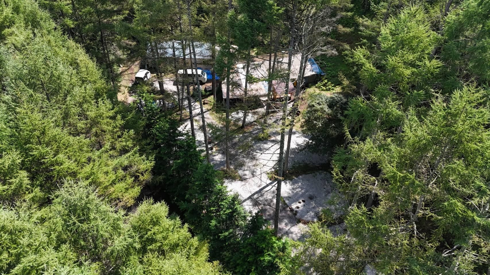 Larch Forest Village