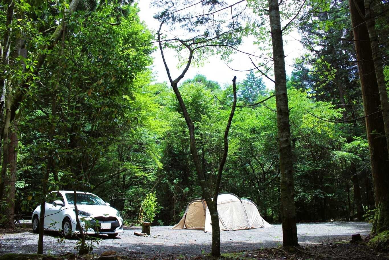 広々オートキャンプサイトの例：37サイト