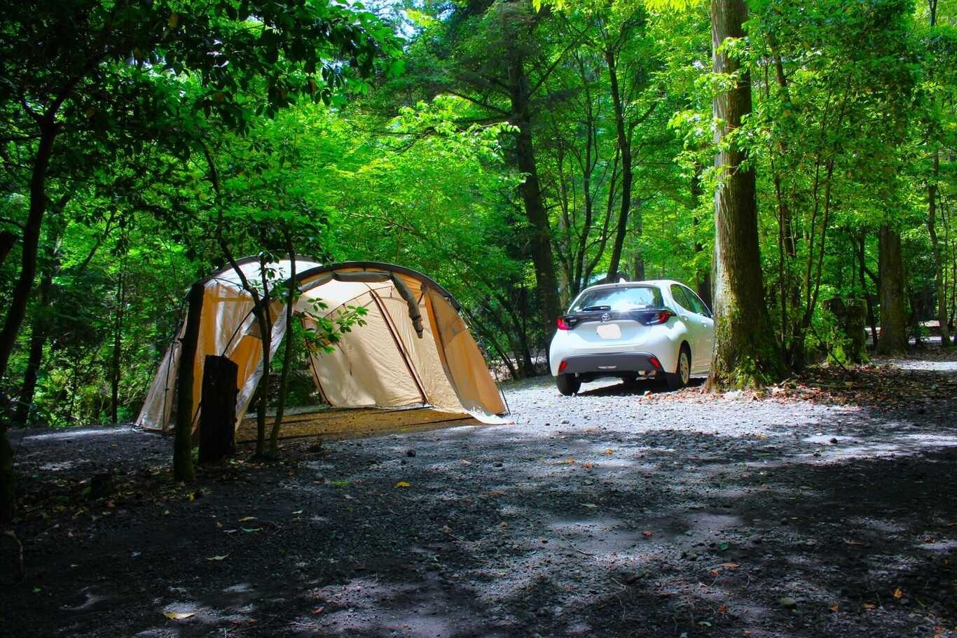 少しゆったり森林オートキャンプサイトの例：36-1サイト