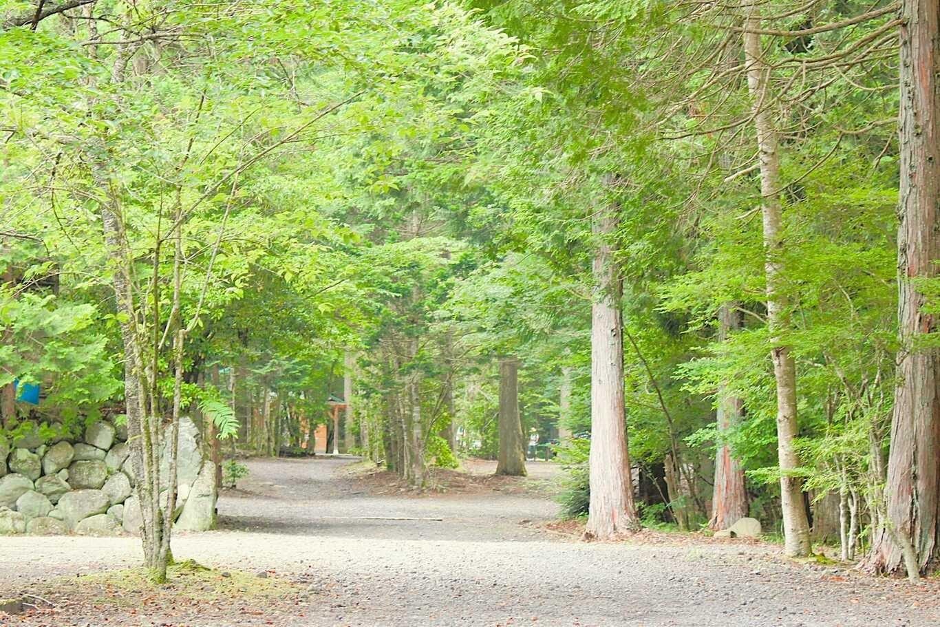 キャンプ場内の通路の景色