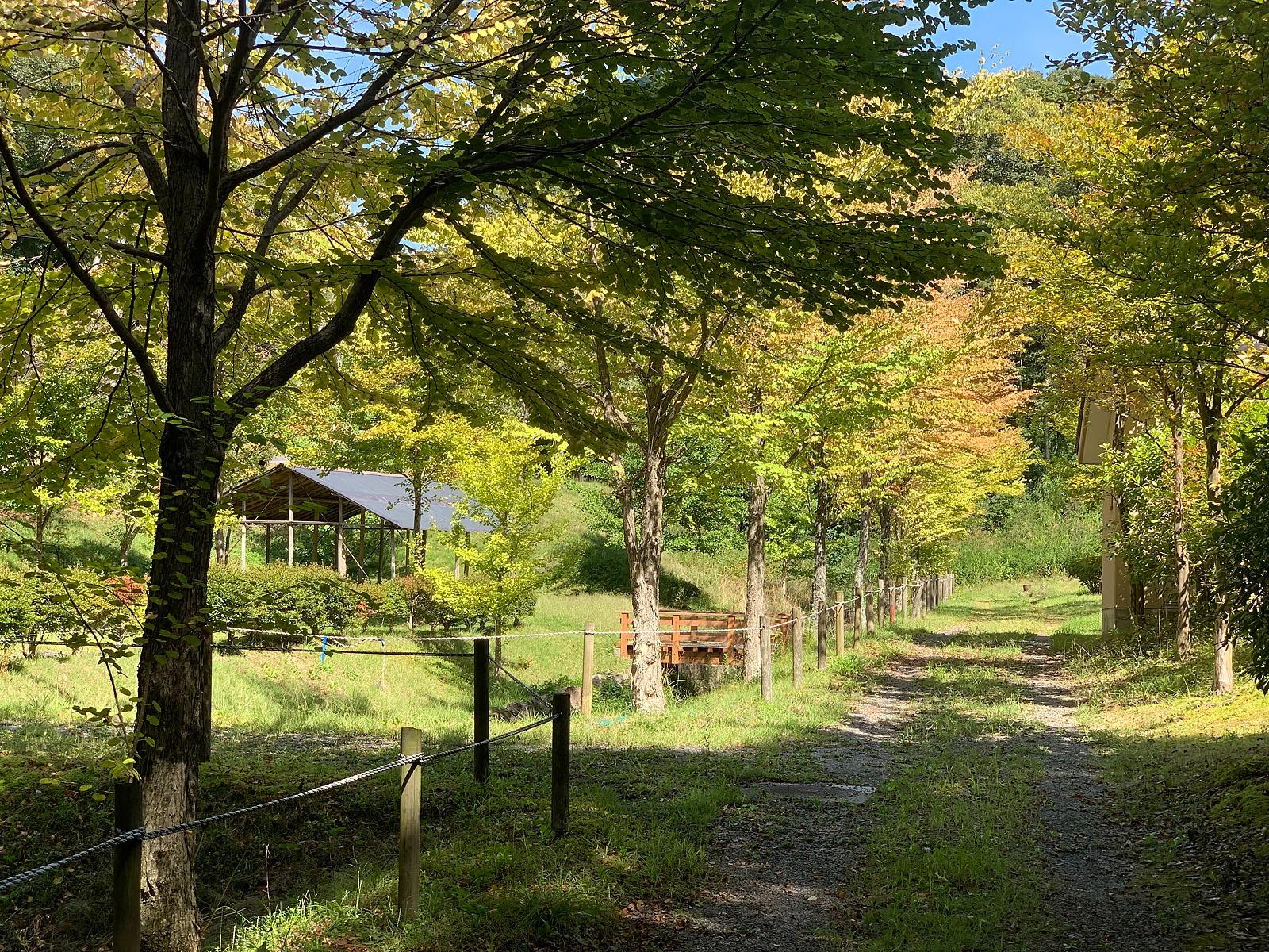 キャンプ場内