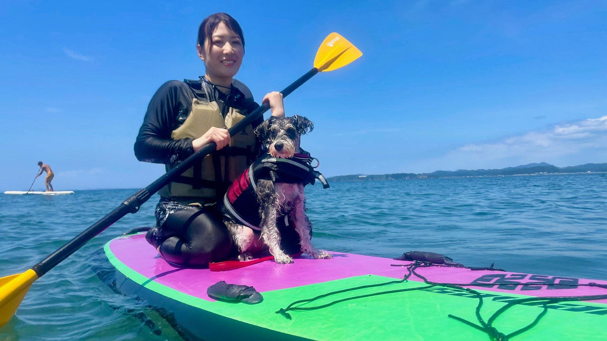 ・【Dog SUP】SUPボードは小型犬が乗るとかなり余裕があります
