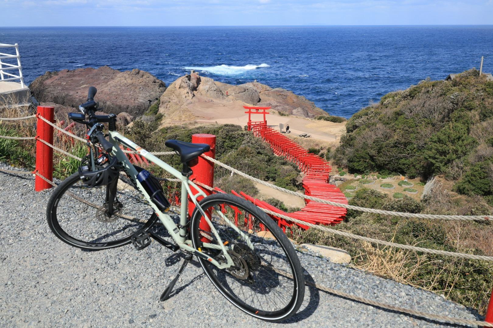 自転車レンタル可能