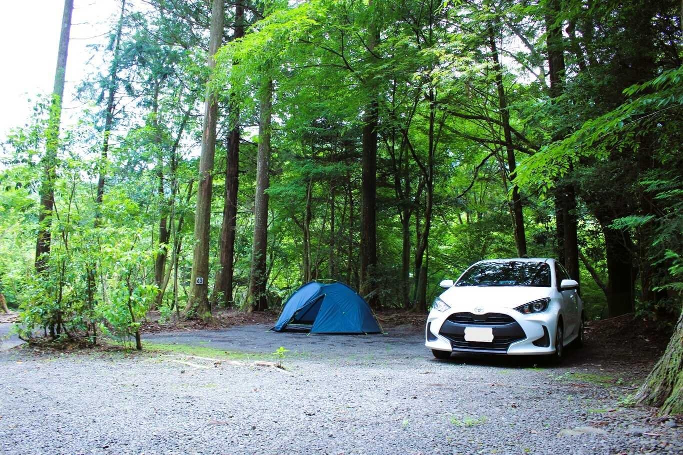 大人２名様限定オートキャンプサイトの例：40サイト（小さめテント）