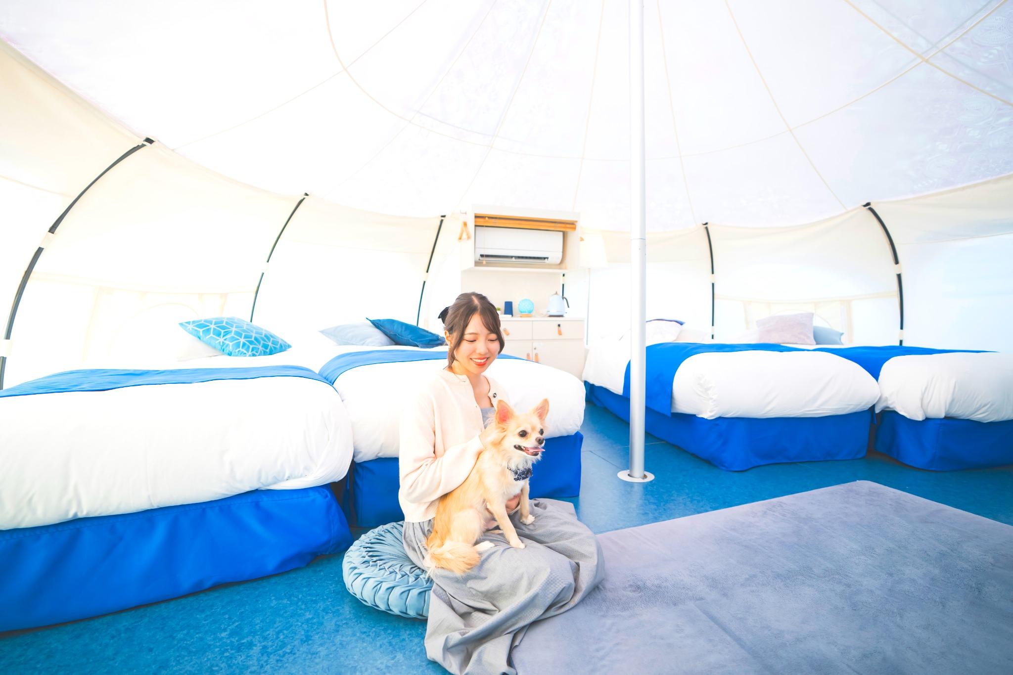 Dog Suite Tent Setouchi