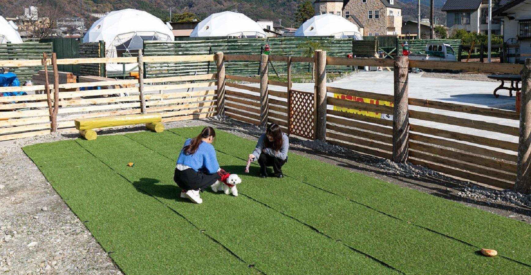 ドッグラン-愛犬と一緒に人気のドームテントでの宿泊、そしてドッグランもありますのでワンちゃんも大喜び♪